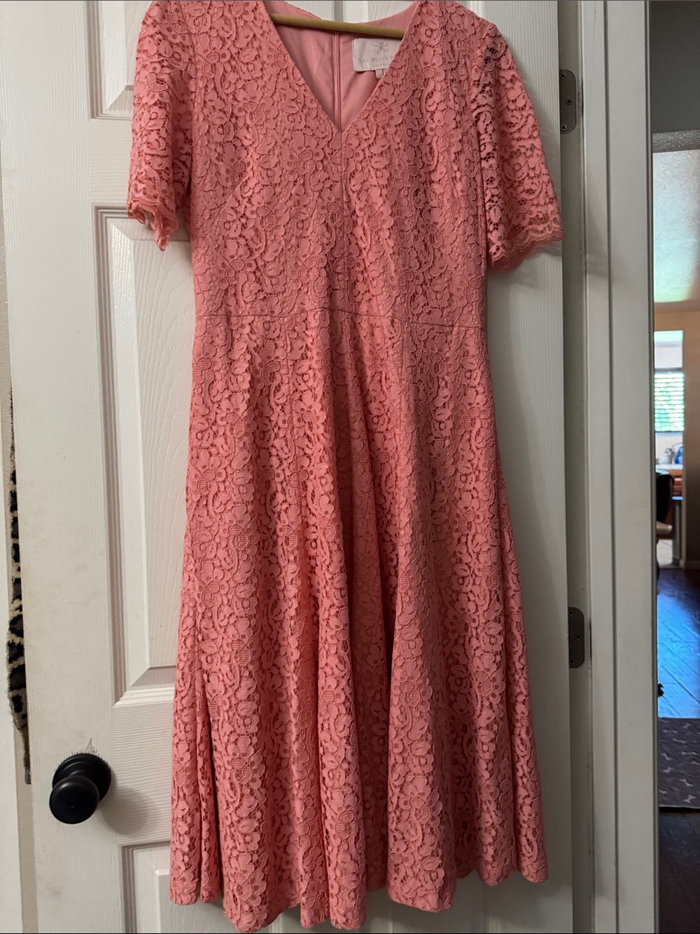 Gal meets glam Lace V-Neck Fit & Flare Dress - Coral Pink